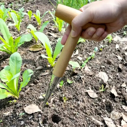 Garden Dibber - Wood Handle Seed & Bulb Planter Tool